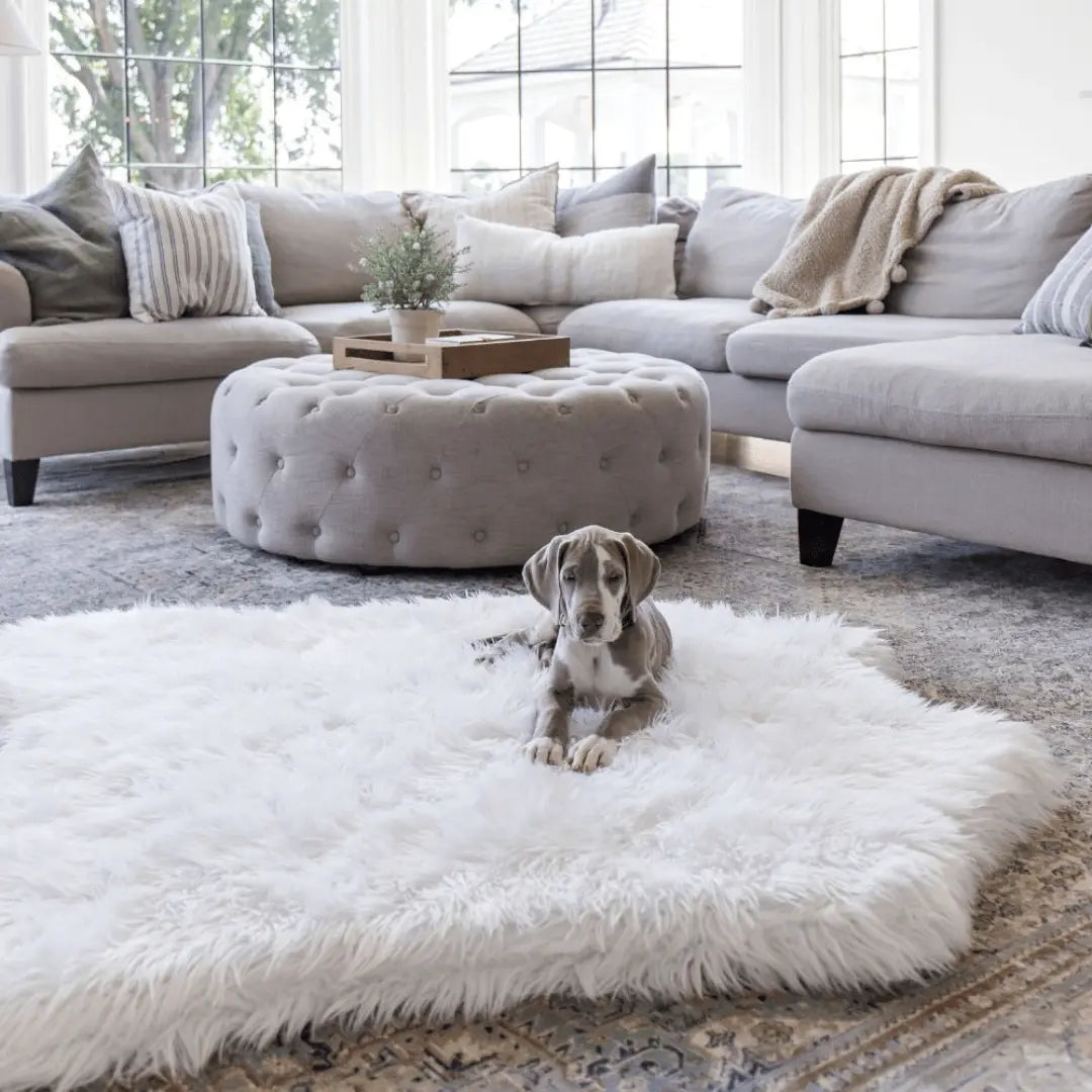 PupRug™ Animal Print Memory Foam Dog Bed - Polar Bear Faux Hide Paw.com
