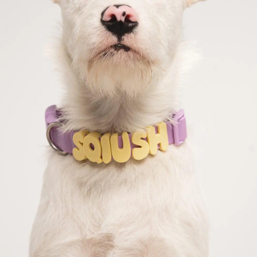 Waterproof Dog Collar