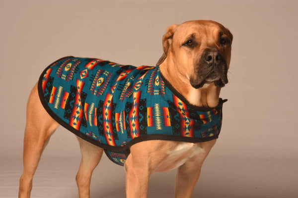 Turquoise Southwest Blanket Dog Coat
