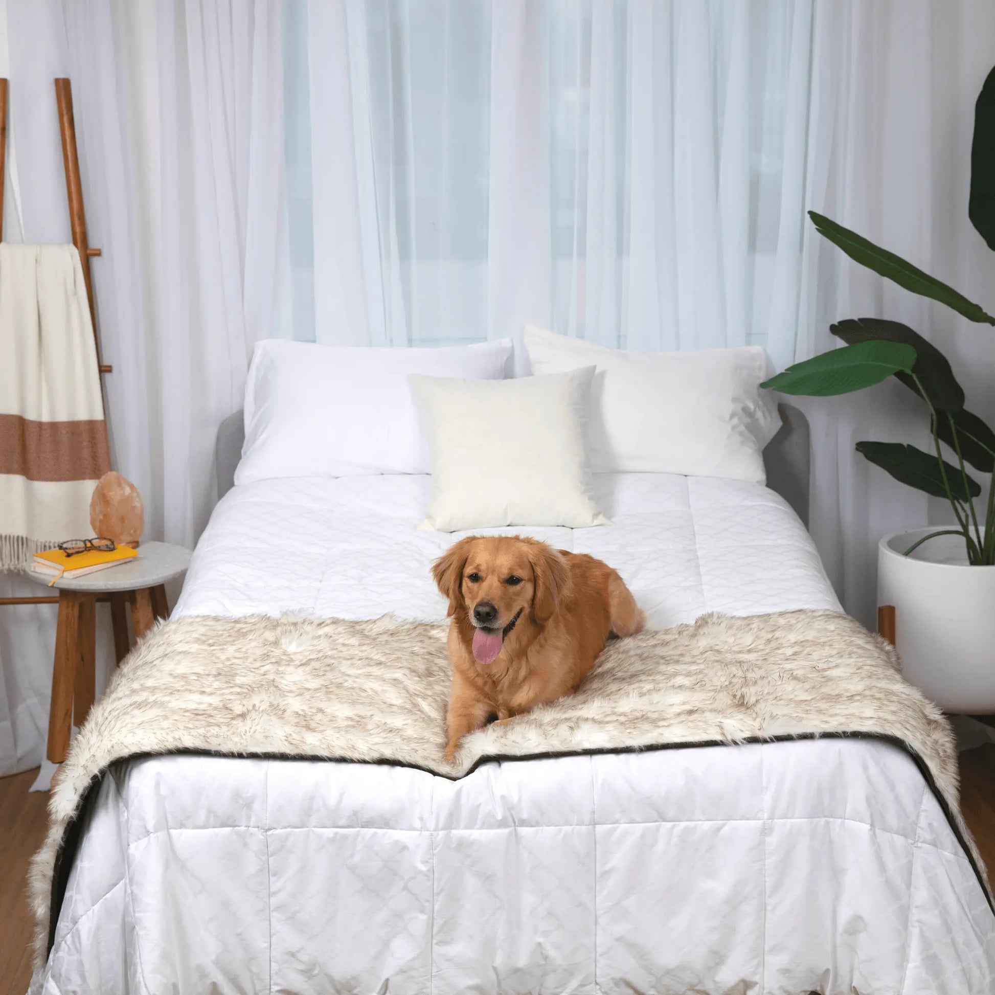 PupProtector™ Waterproof Bed Runner - White with Brown Accents Paw.com