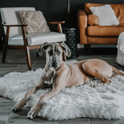 PupRug™ Animal Print Memory Foam Dog Bed - Polar Bear Faux Hide Paw.com