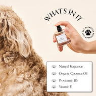Dog Fragrance - Youth Elixir