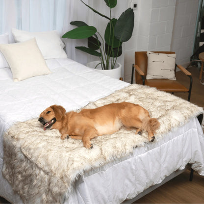 PupProtector™ Waterproof Bed Runner - White with Brown Accents Paw.com