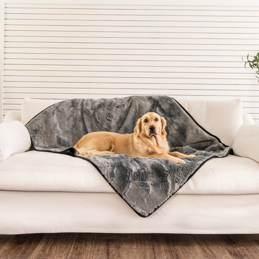PupProtector™ Short Fur Waterproof Throw Blanket - Charcoal Grey Paw.com