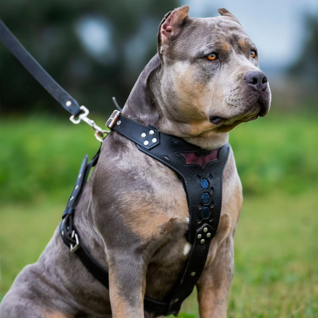 Bestia Batman Leather Dog Harness – Medium Dogs