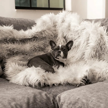 PupProtector™ Waterproof Throw Blanket - Grey Paw.com