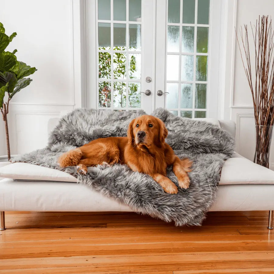 PupProtector™ Waterproof Throw Blanket - Charcoal Grey Paw.com