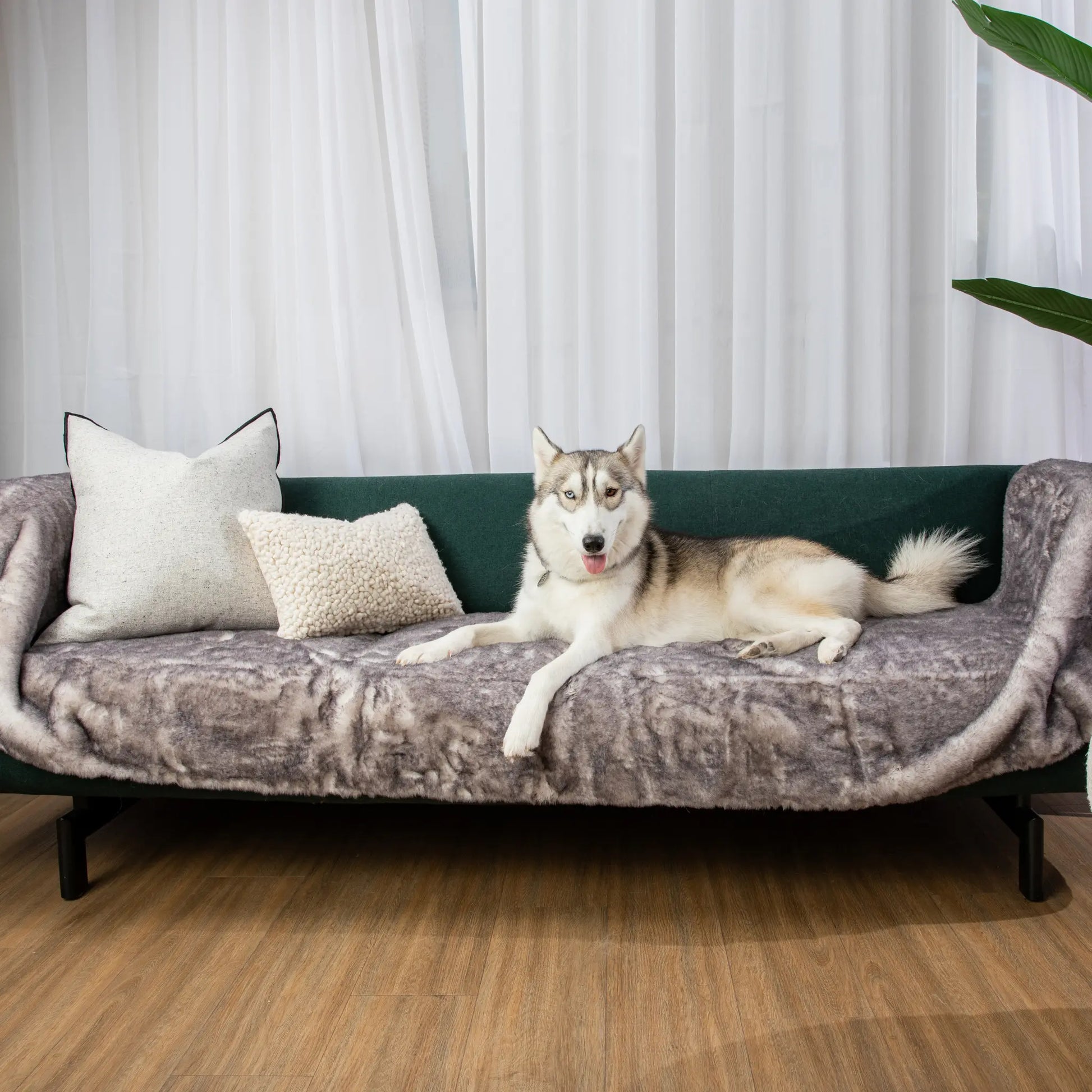 PupProtector™ Luxe Waterproof Bed Runner - Ultra Soft Chinchilla Paw.com