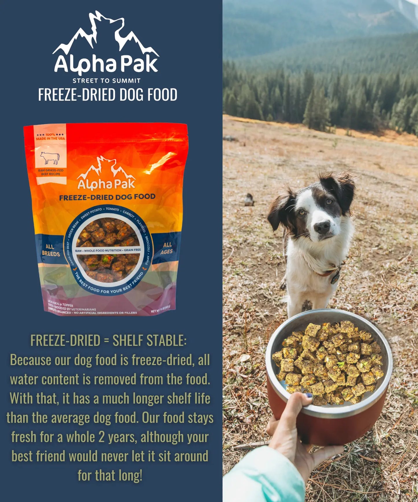 PREMIUM RAW FREEZE DRIED DOG FOOD BEEF Alpha Pak