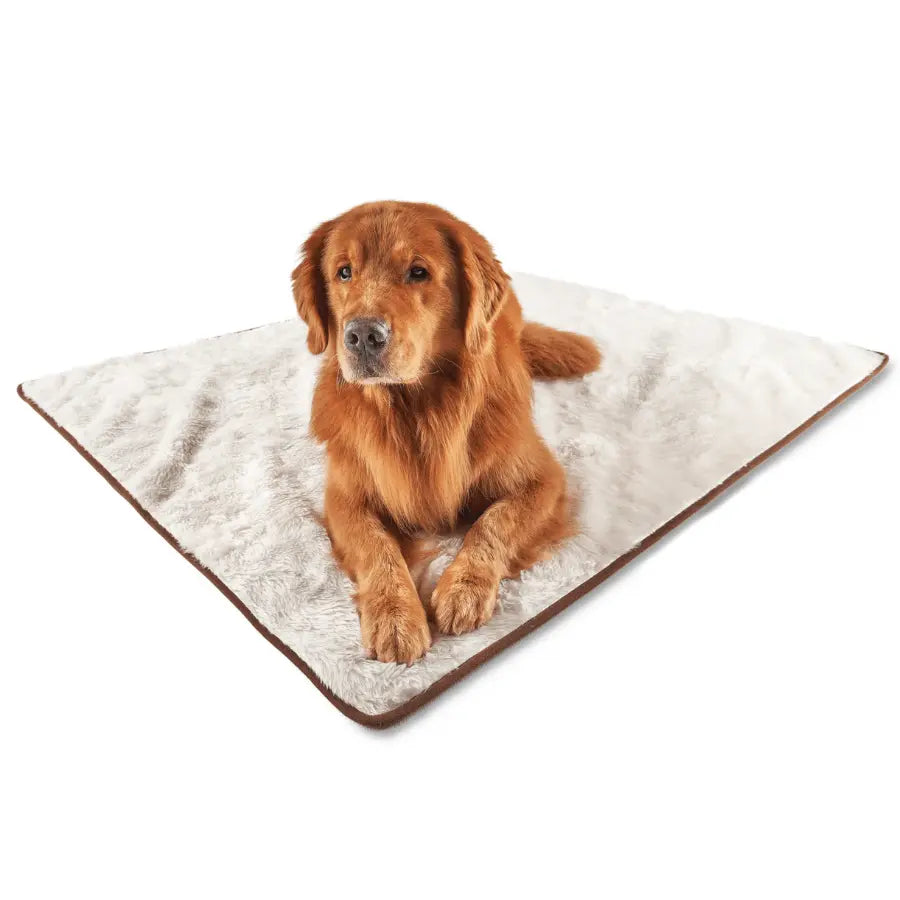 PupProtector™ Summer Short Fur Waterproof Throw Blanket - Polar White Paw.com
