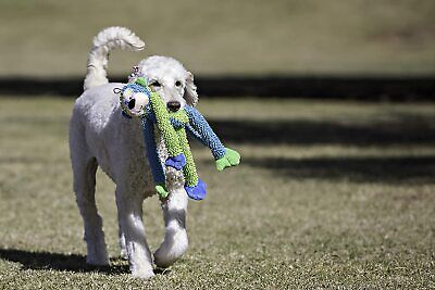 Multipet Multi Crew Monkey Dog Toy Assorted 17 in