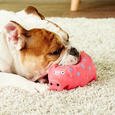 Multipet Pigs That Oink Dog Toy Assorted 9 in