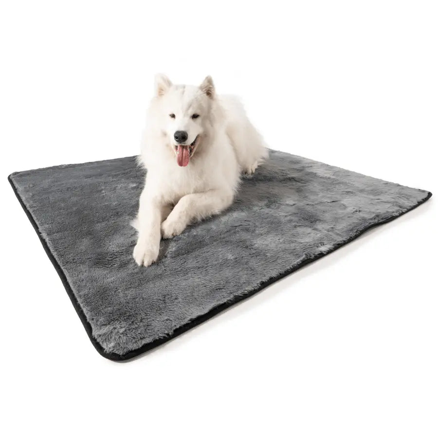 PupProtector™ Summer Short Fur Waterproof Throw Blanket - Charcoal Grey Paw.com