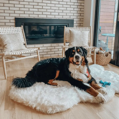 PupRug by Paw.com™ Faux Fur Orthopedic Dog Bed - Curve Polar White Paw.com