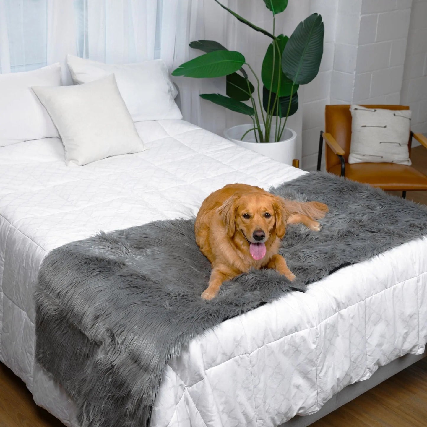 PupProtector™ Waterproof Bed Runner - Charcoal Grey Paw.com