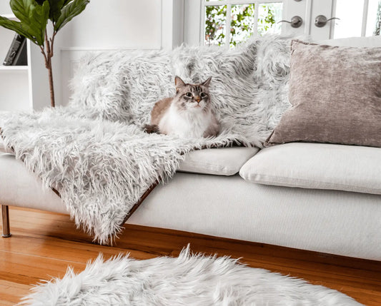 CatNap™ Anti-Scratch & Waterproof Throw Blanket - Grey Paw.com