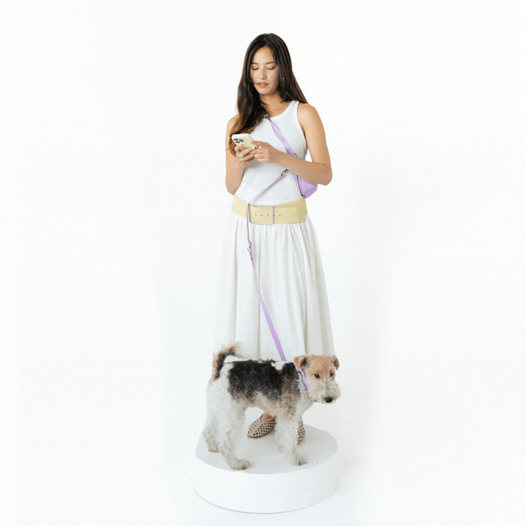 Hands-Free Dog Walking Bag with 4ft Leash Springland Pets