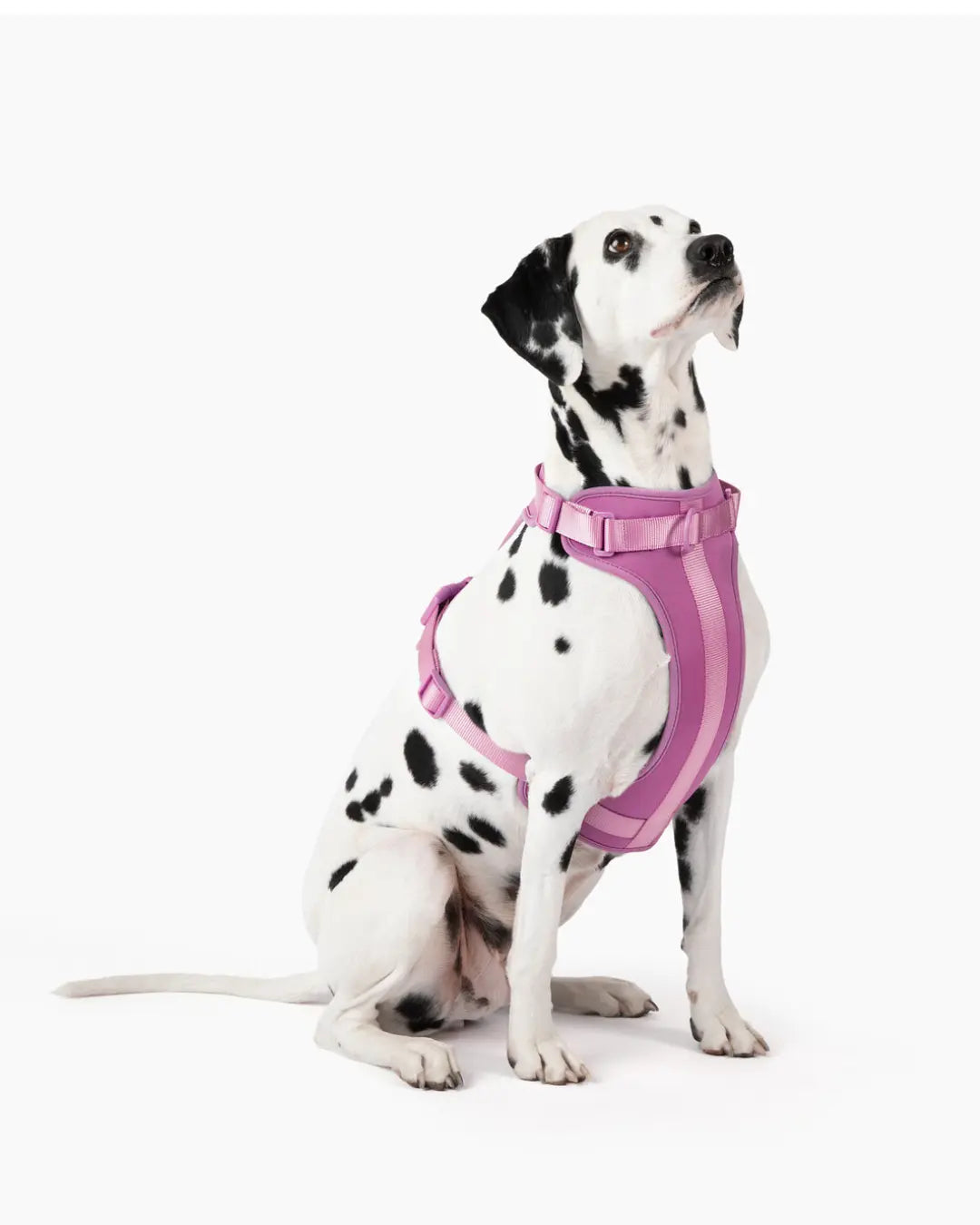 Harness - K9 Outdoors