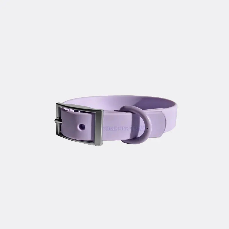 Everyday Collar - K9 Outdoors