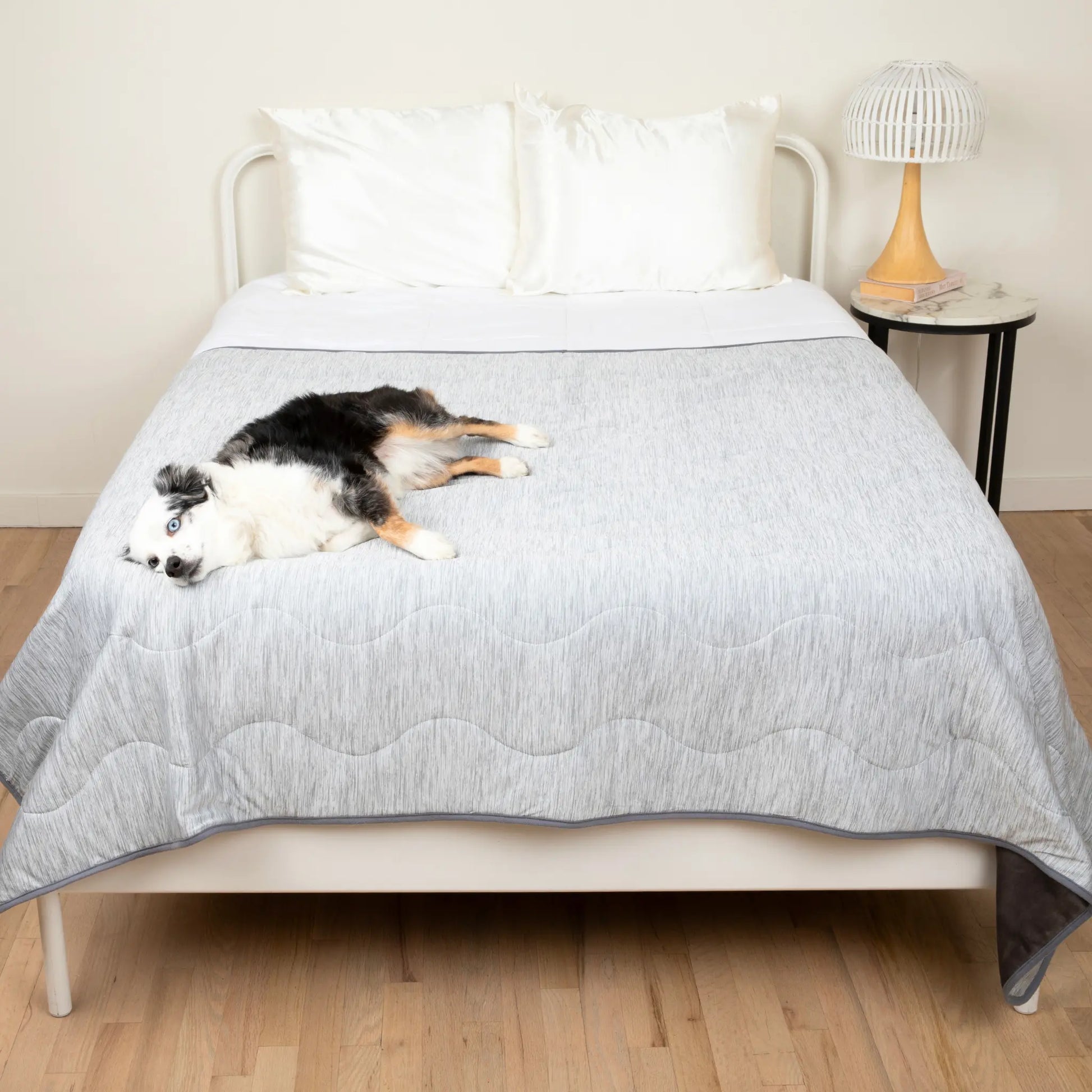 PupChill™ Cooling Waterproof Blanket - Arctic Grey Paw.com