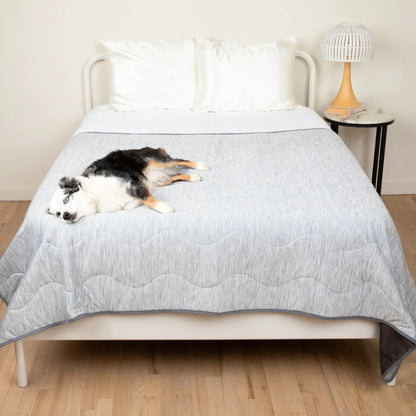 PupChill™ Cooling Waterproof Blanket - Arctic Grey Paw.com