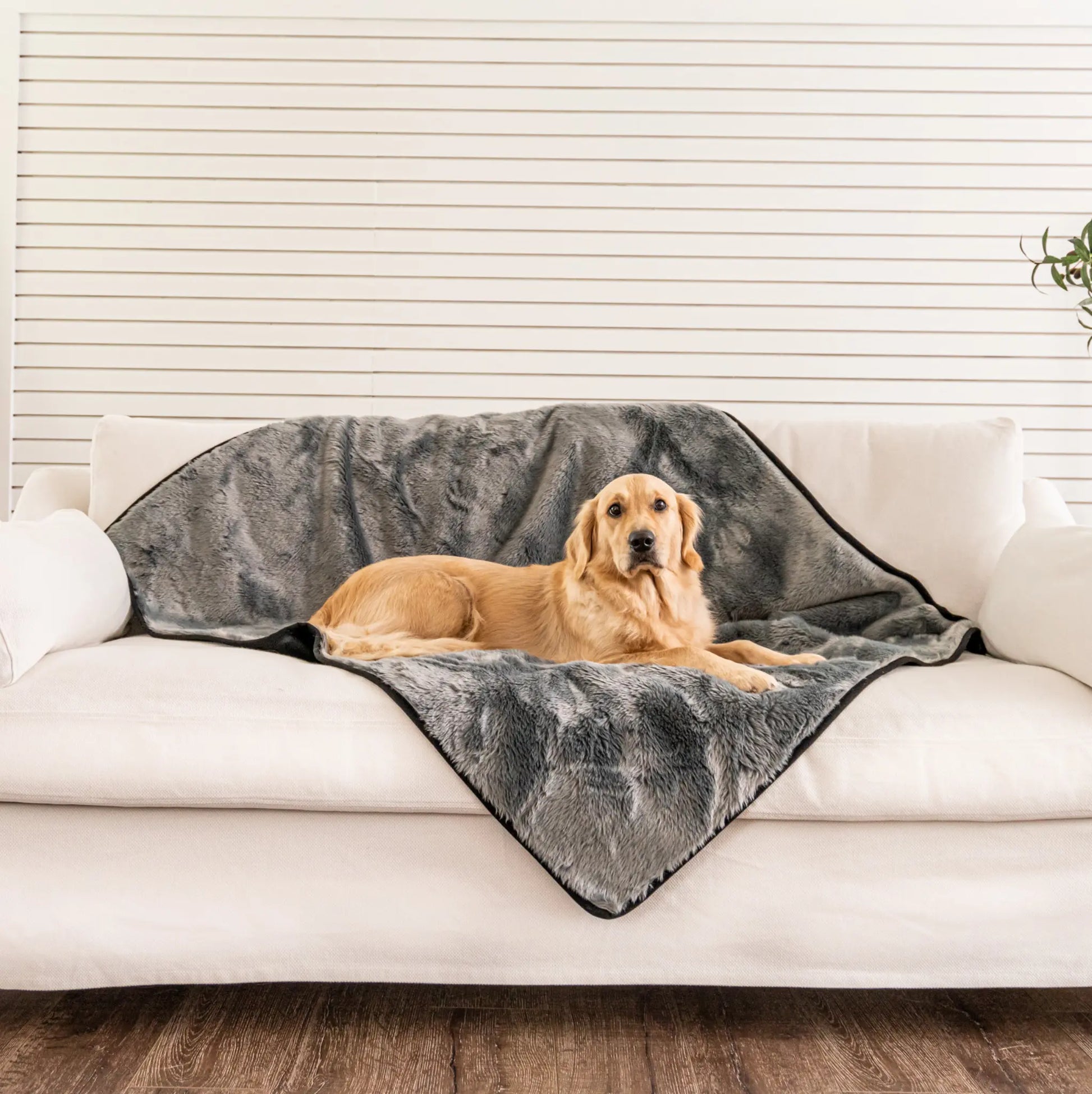 PupProtector™ Summer Short Fur Waterproof Throw Blanket - Charcoal Grey Paw.com