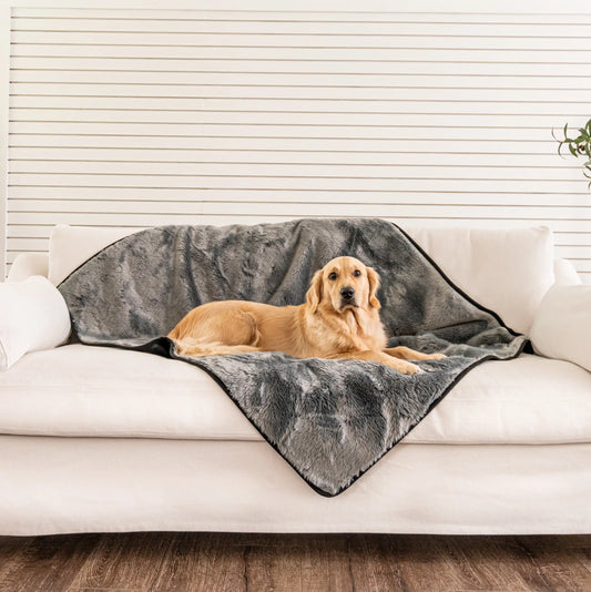 PupProtector™ Summer Short Fur Waterproof Throw Blanket - Charcoal Grey Paw.com