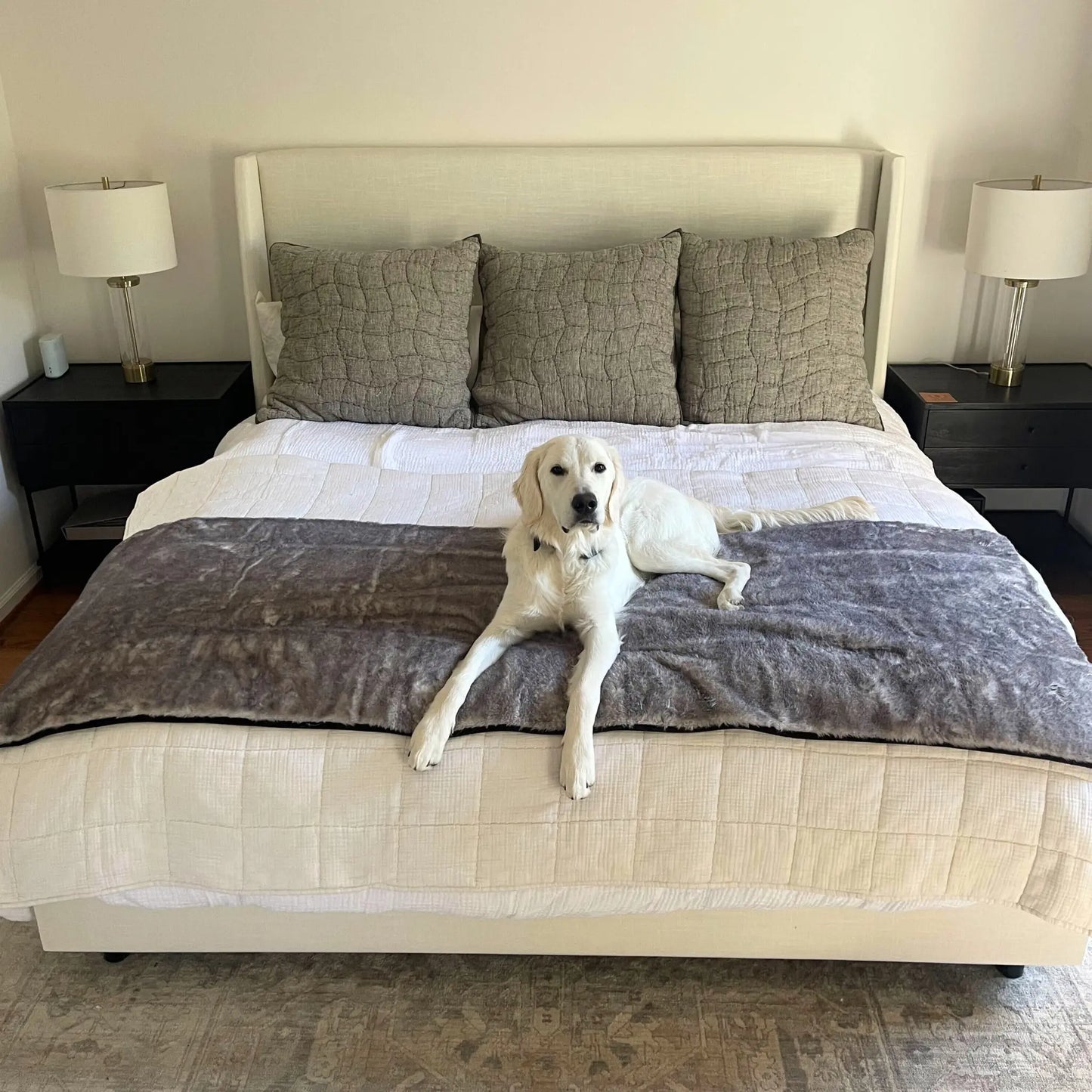 PupProtector™ Luxe Waterproof Bed Runner - Ultra Soft Chinchilla Paw.com