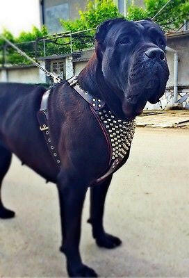 Bestia Gladiator Leather Dog Harness