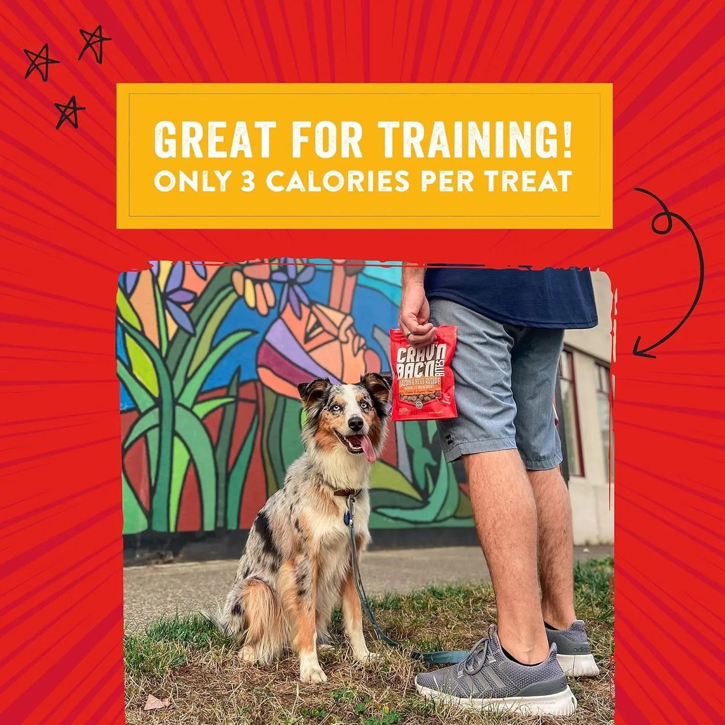 Training Dog Treats - Crav'N Bac'N Soft Bacon & Chicken Bites - Premium USA Made - Low Calorie Rewards - 8.25Oz