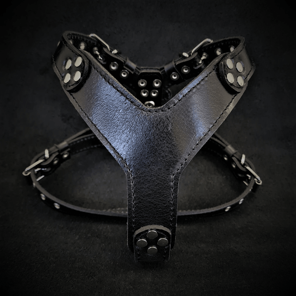 Bestia Style Leather Dog Harness – Black, Small–Medium Dogs