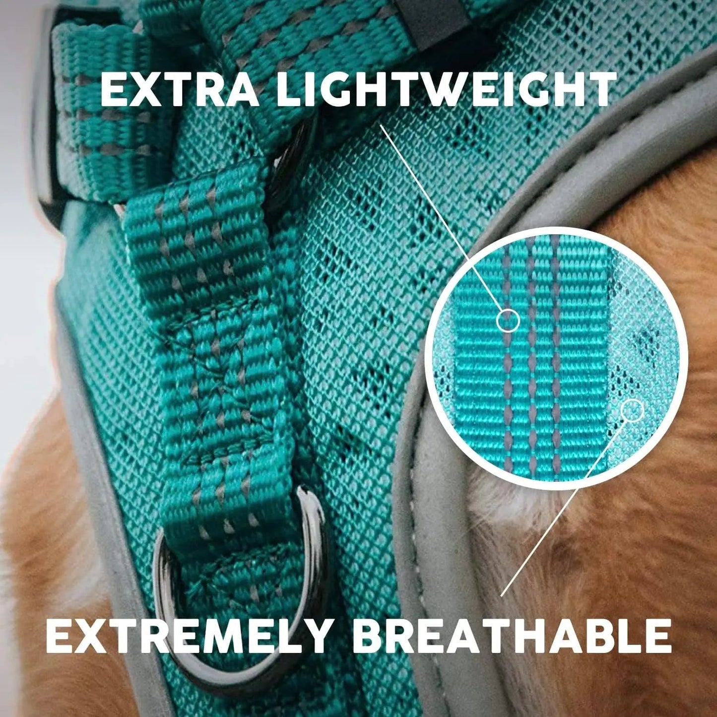 Embark Sports Dog Harness, Dog Harness for Large Dogs No Pull with Light and Breathable Design - Easy on and Off, No Pull Training, Size Adjustable, Non Choke with Handle for Control. Teal Vest