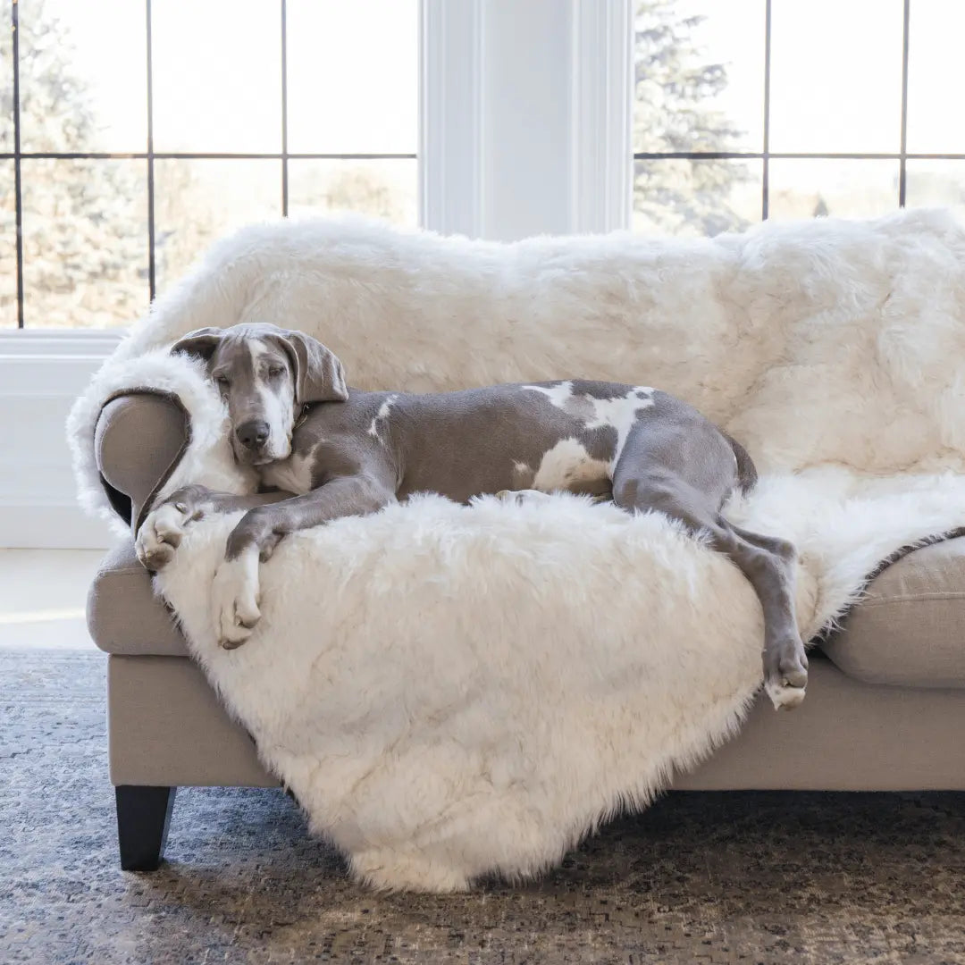 PupProtector™ Waterproof Throw Blanket - White with Brown Accents Paw.com