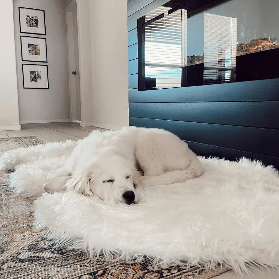PupRug by Paw.com™ Faux Fur Orthopedic Dog Bed - Curve Polar White Paw.com