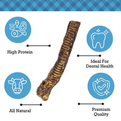 Country Living All-Natural Beef Trachea Dog Treats, Protein-Packed Chews – 12 Inches (5-Pack) American Pet Supplies