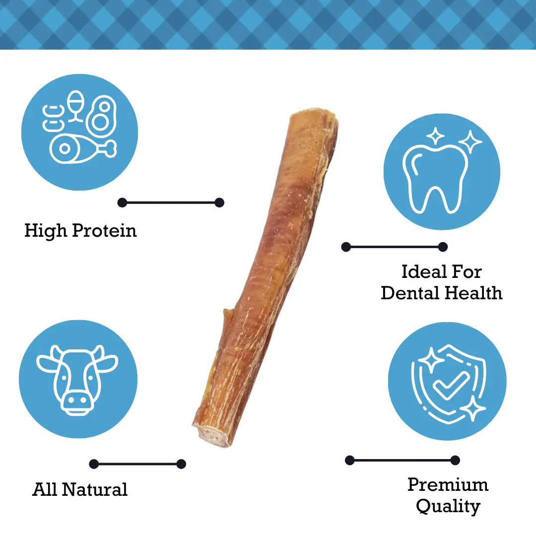 Country Living All-Natural Beef Bully Stick Dog Treats – High-Protein & Healthy Snacks – 6-Inch Standard (10-Pack) American Pet Supplies