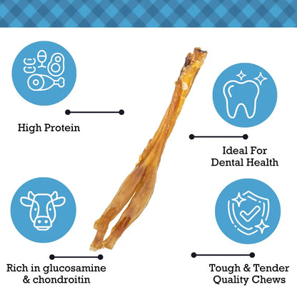 All-Natural Beef Y Tendon Dog Treats – High-Protein, Low-Fat Chews – Jumbo (10-Pack) American Pet Supplies