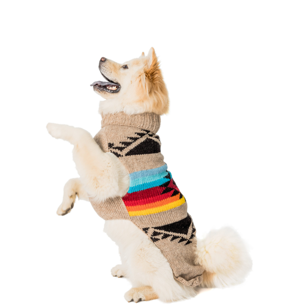Painted Desert Dog Sweater