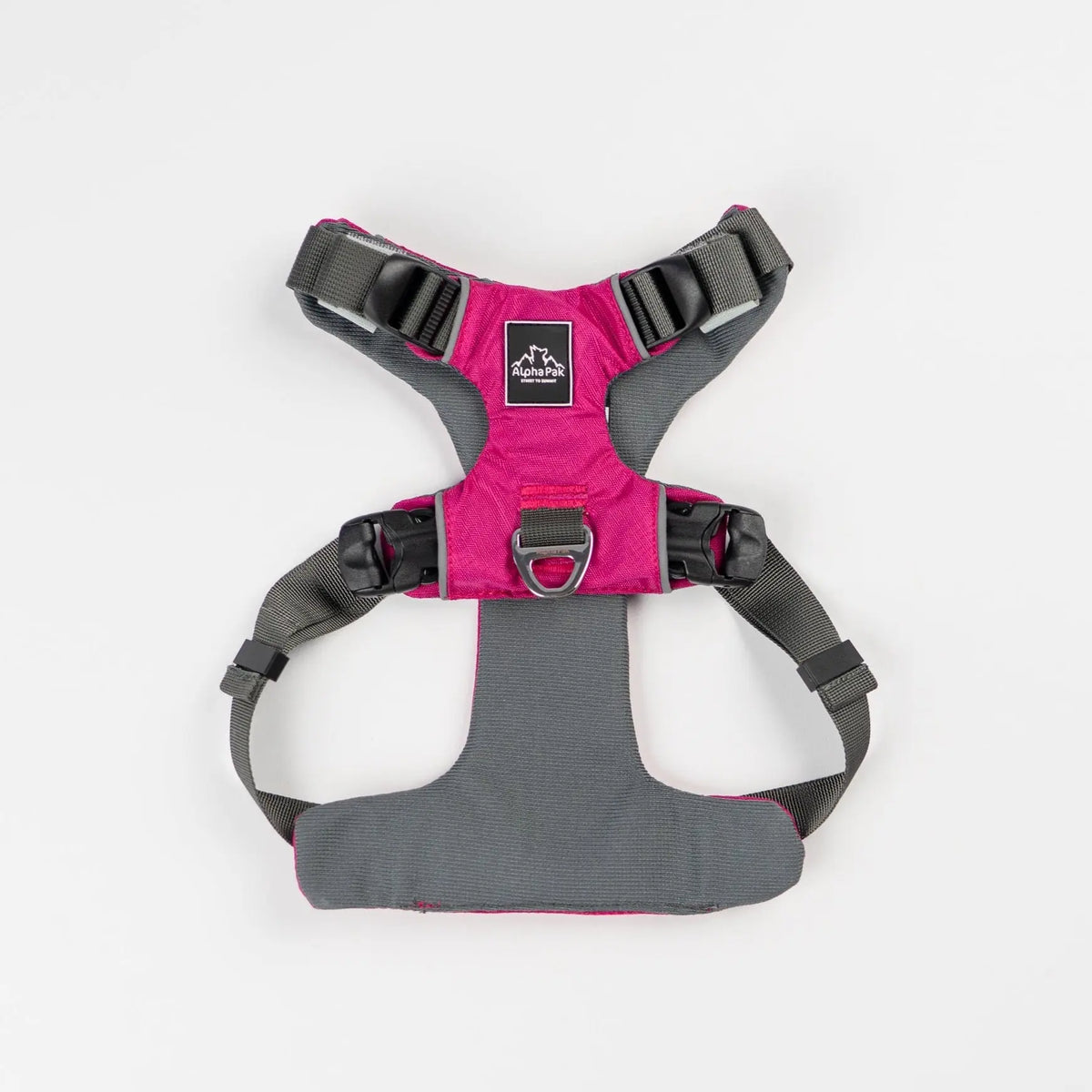Everyday Adventure Dog Harness