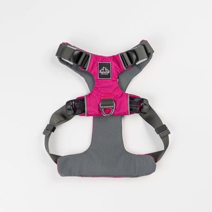 Everyday Adventure Dog Harness Alpha Pak
