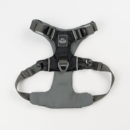 Everyday Adventure Dog Harness Alpha Pak