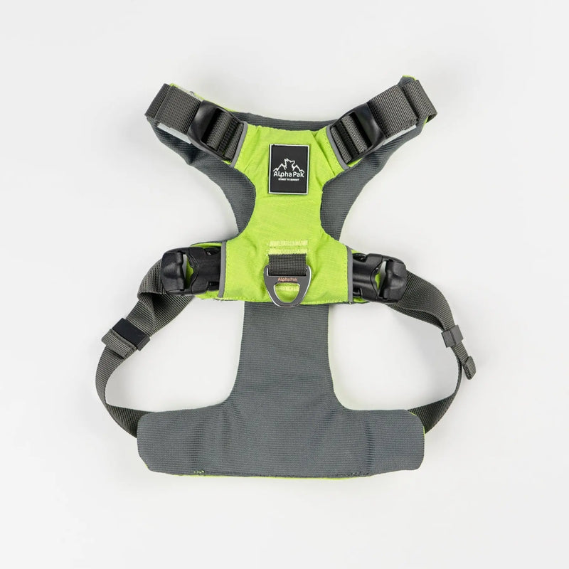 Everyday Adventure Dog Harness