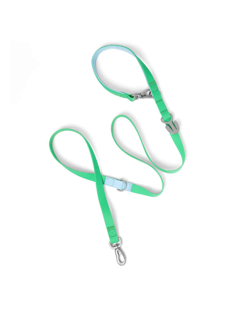 Waterproof Dog Leash - 5ft