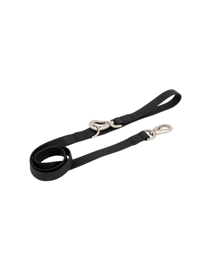 Original City Dog Leash Springland Pets