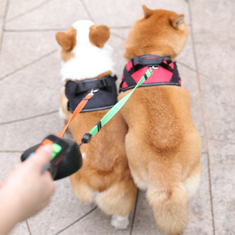 Double-Headed Traction Rope Double Dog Chain Two Anti-Winding Dog Rope Dog Traction Rope Automatic Retractable Small Dog