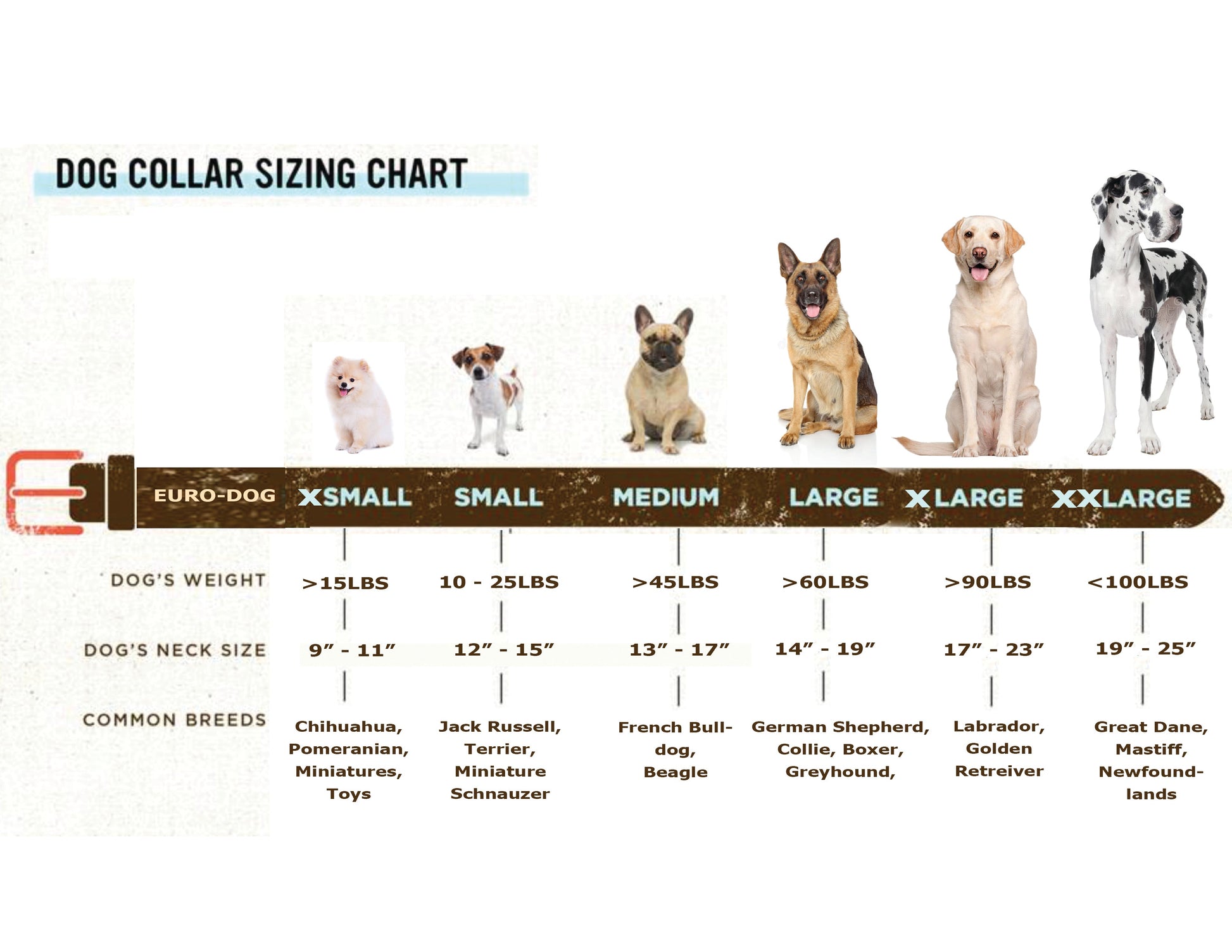 Pro Line Leather Hunting Dog Collar