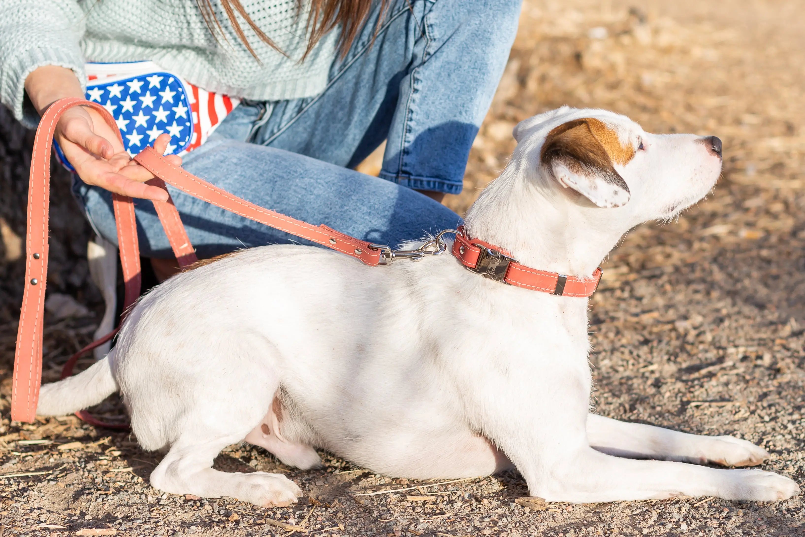 Pro Line Quick-Release Coral Reef Leather Dog Collar with Metal Buckle