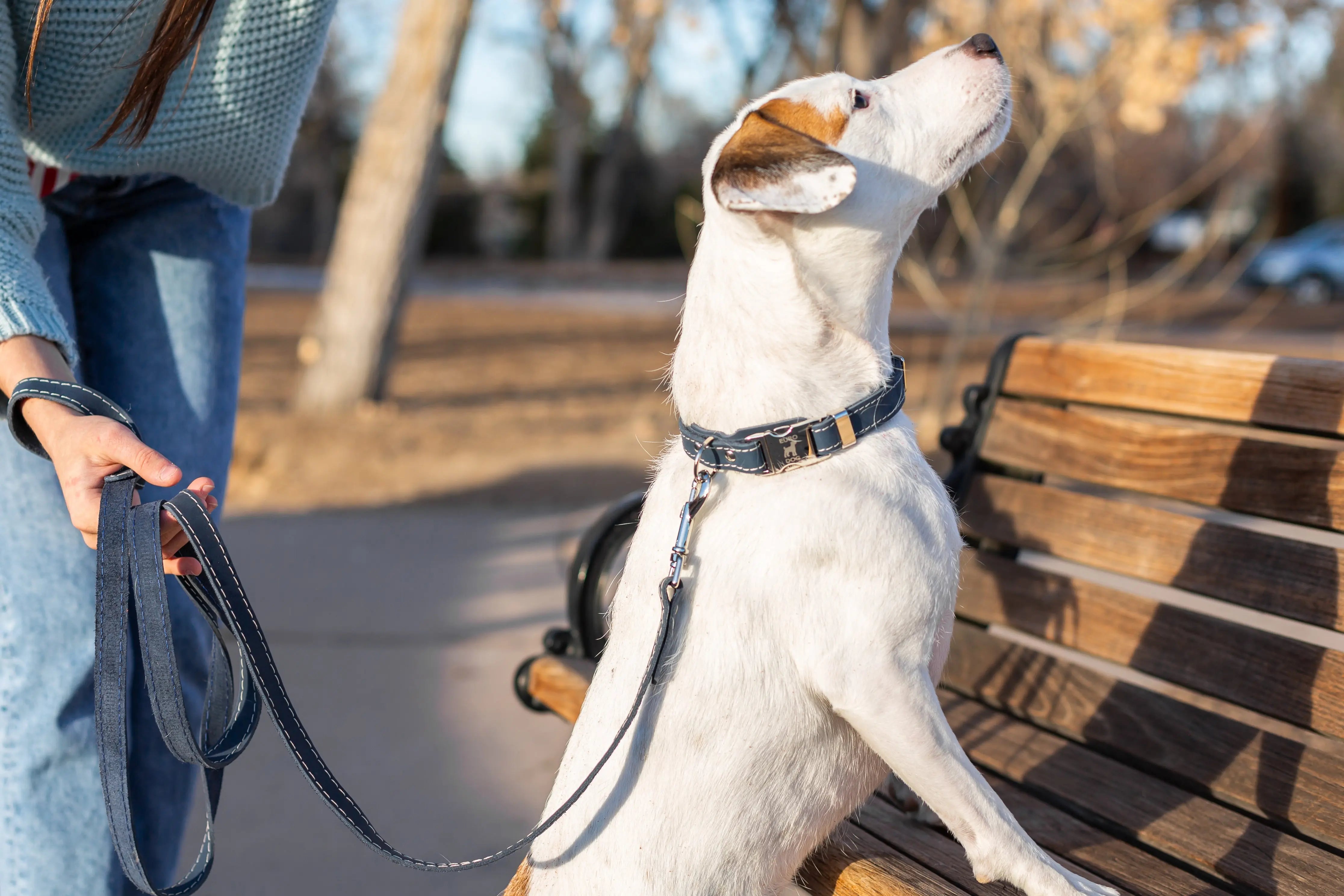 Pro Line Hunting Blue Jeans Leather Leash