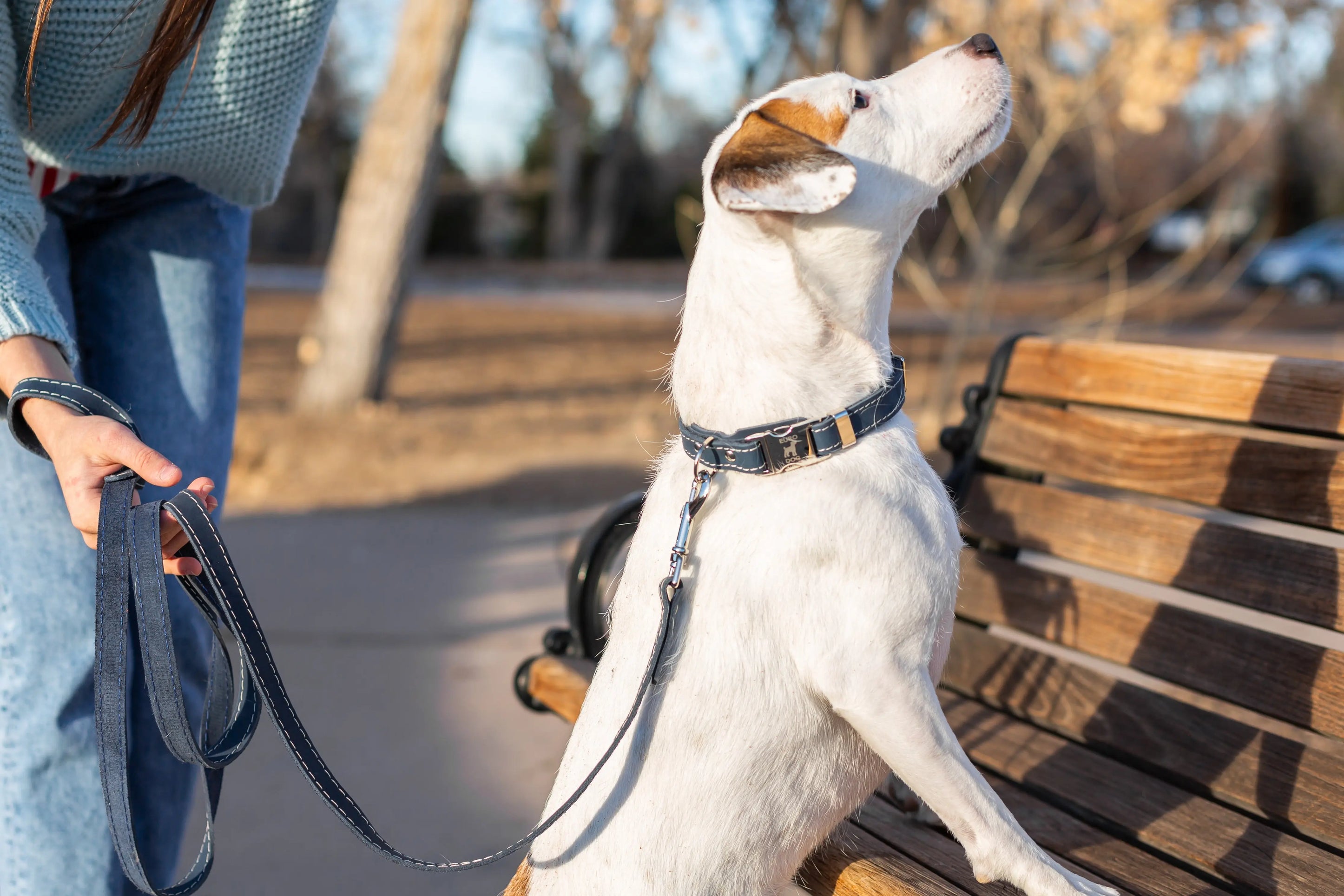 Traditional Blue Jeans Leather Leash Euro-Dog Collars and Leads