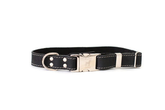 Bestseller Quick-Release Midnight Black Leather Dog Collar with Metal Buckle Euro-Dog Collars and Leads